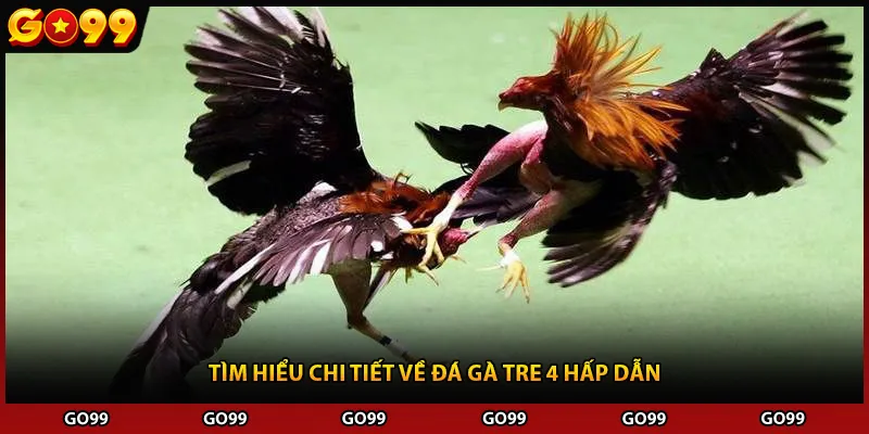 Tìm hiểu chi tiết về đá gà tre 4 hấp dẫn